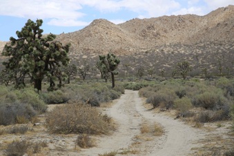 Enlarge photo 9