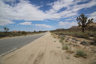 Enlarge photo 252