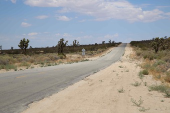 Enlarge photo 253