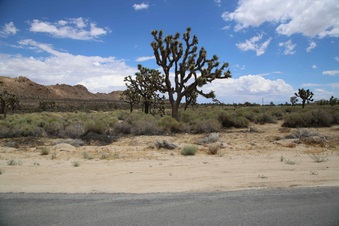 Enlarge photo 254
