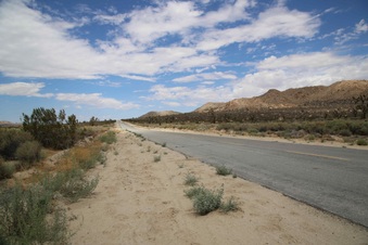 Enlarge photo 256