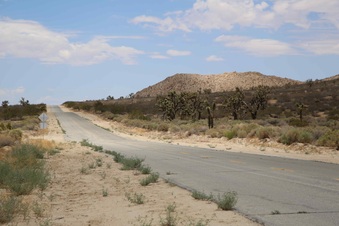 Enlarge photo 257