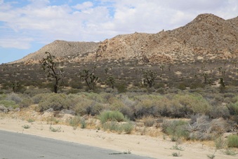 Enlarge photo 258