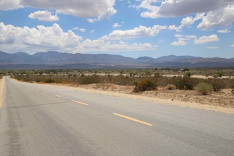 Enlarge photo 269