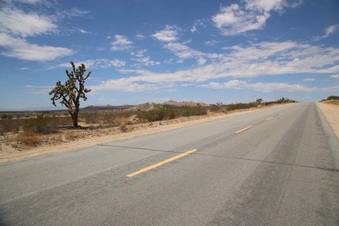 Enlarge photo 270