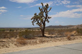 Enlarge photo 271