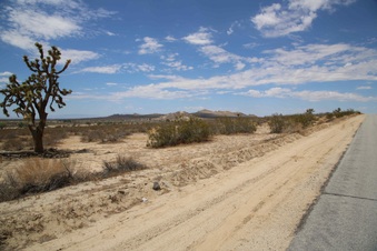 Enlarge photo 274