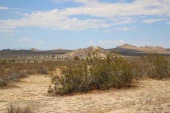 Enlarge photo 275