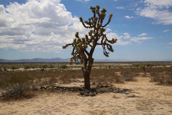 Enlarge photo 276