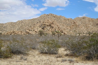 Enlarge photo 278