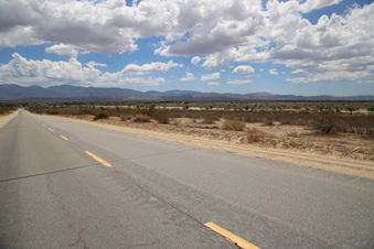 Enlarge photo 280