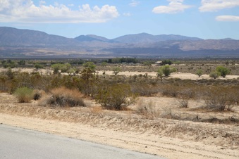 Enlarge photo 281