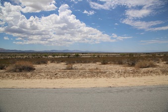 Enlarge photo 282