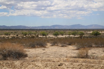 Enlarge photo 283