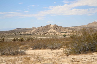 Enlarge photo 286