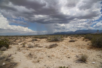 Enlarge photo 294