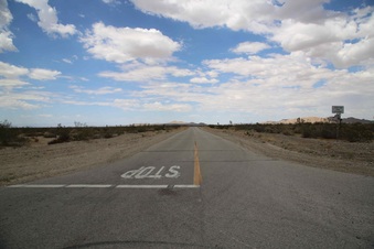 Enlarge photo 307