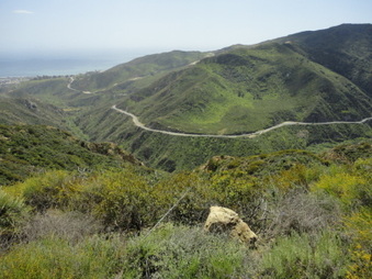 Enlarge photo 8
