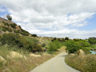 Enlarge photo 14