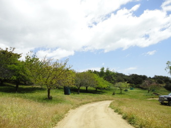 Enlarge photo 16