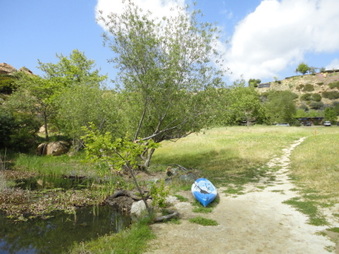 Enlarge photo 17