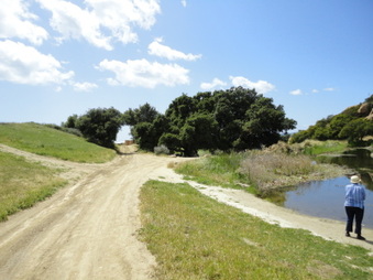 Enlarge photo 19