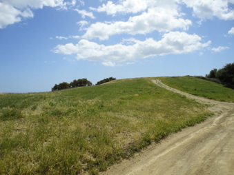 Enlarge photo 20