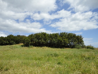 Enlarge photo 21