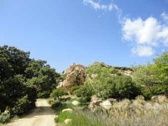 Enlarge photo 25