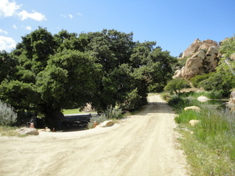 Enlarge photo 26