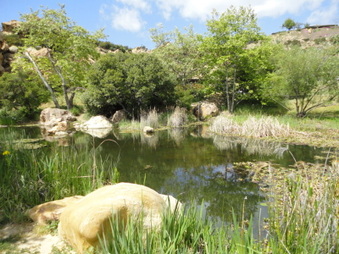 Enlarge photo 27