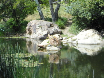 Enlarge photo 28
