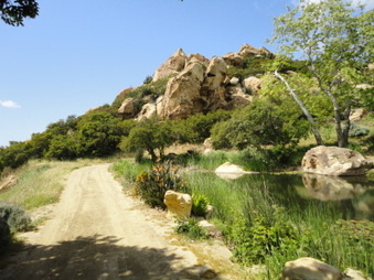Enlarge photo 29