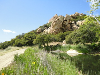 Enlarge photo 30