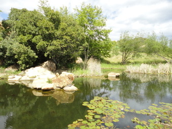 Enlarge photo 31
