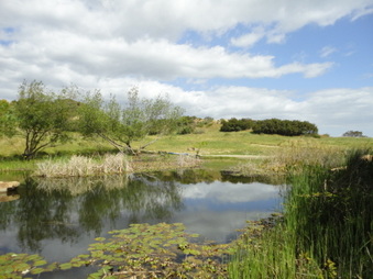 Enlarge photo 32