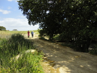 Enlarge photo 33