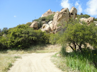 Enlarge photo 34