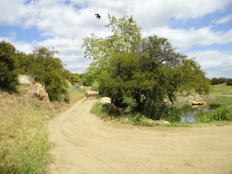 Enlarge photo 35