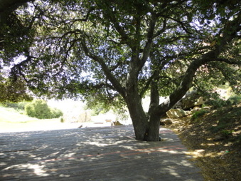 Enlarge photo 40