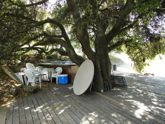 Enlarge photo 41