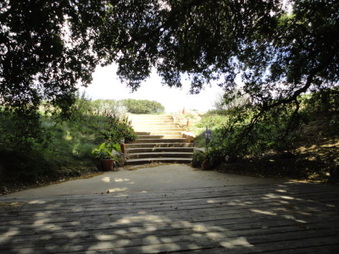 Enlarge photo 42