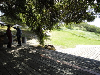 Enlarge photo 45