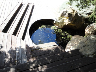 Enlarge photo 46