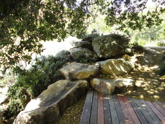 Enlarge photo 47