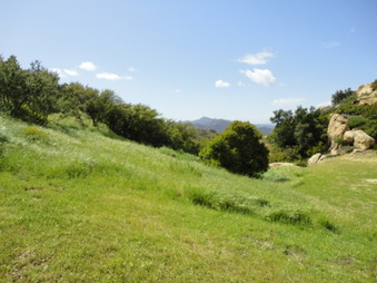Enlarge photo 57