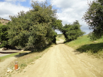 Enlarge photo 61