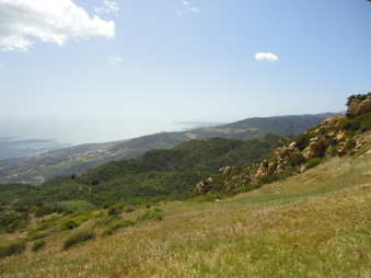 Enlarge photo 73