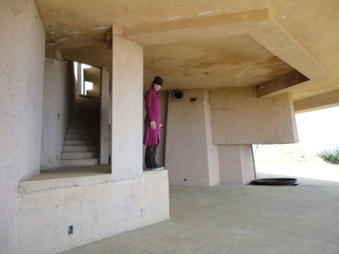 Enlarge photo 81