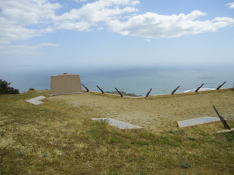 Enlarge photo 108